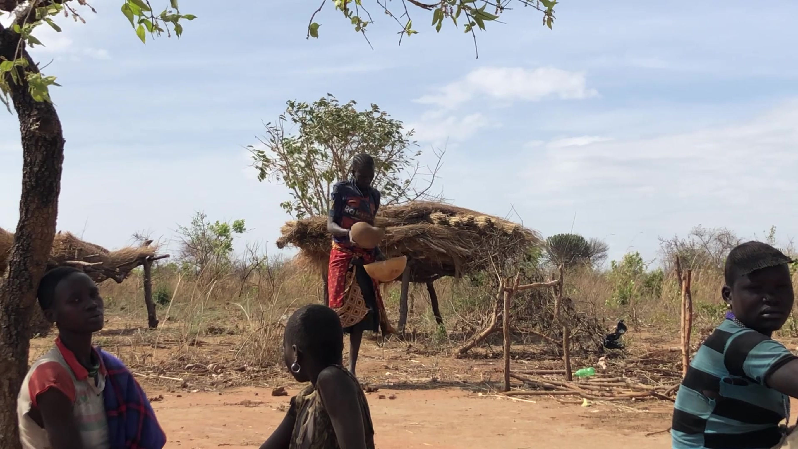 Assisting Livelihood Strategies